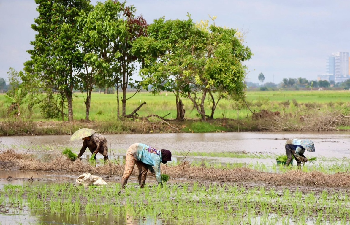 Kawasan Agroindustri Pengemasan Beras